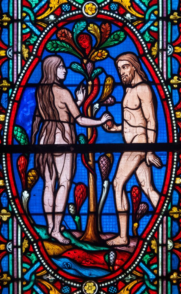 stained glass of two naked with a snake and an apple