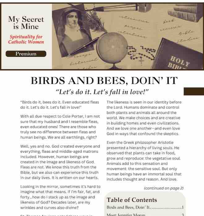 The cover of the My Secret is Mine Newsletter - Volume 3, Number 3