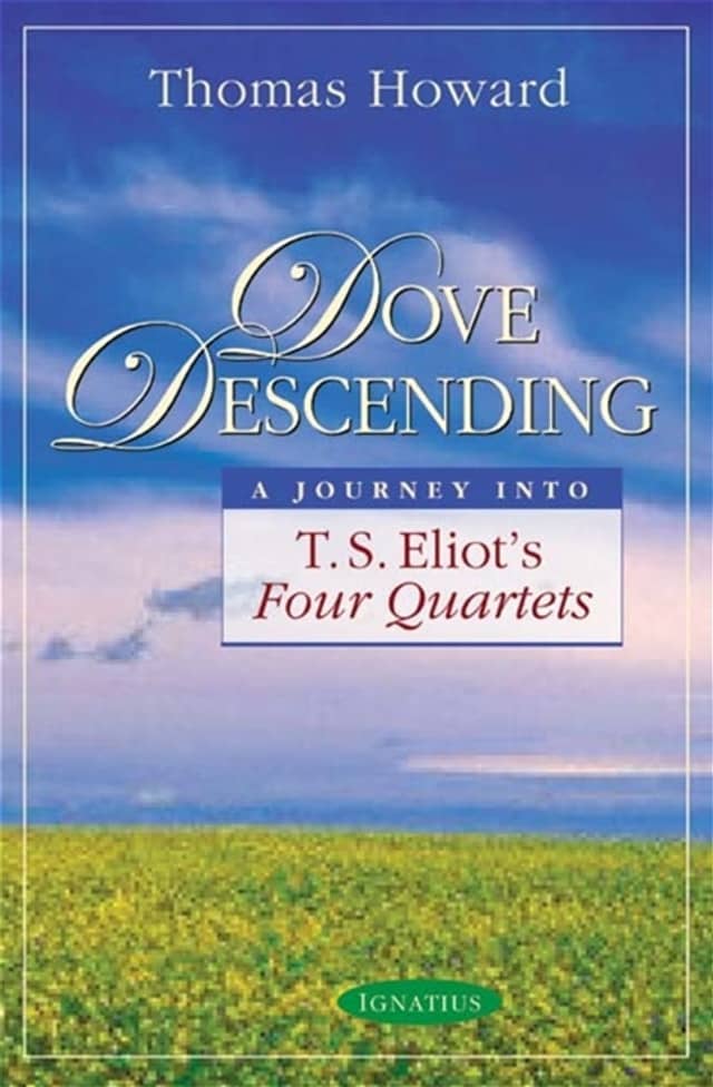 book cover of Dove Descending